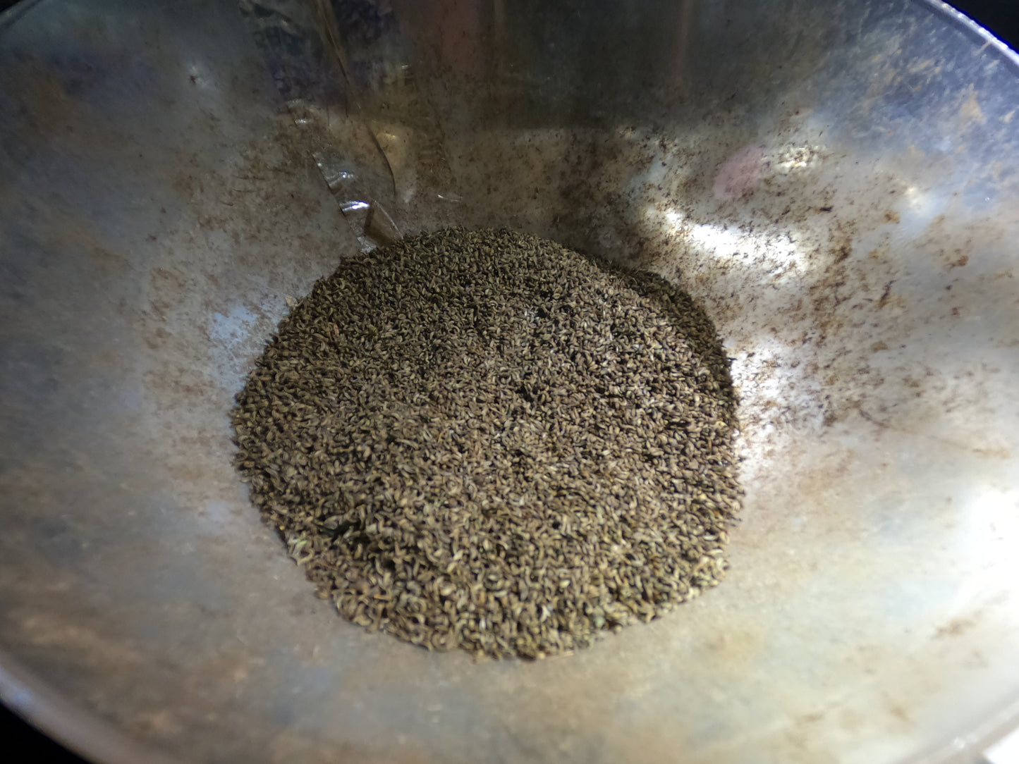 100+ Organic Skirret Seeds (Sium sisarum) – Rare Heirloom Root Vegetable – Sweet, Crunchy, Perennial – Fresh - USA Grown