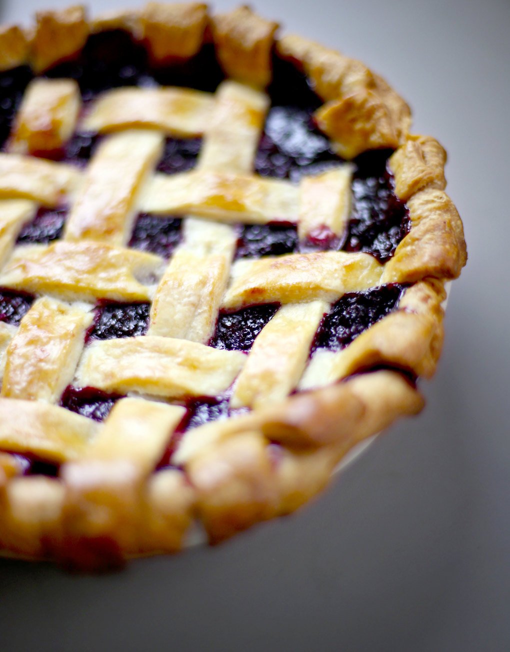 Trailing Pacific Blackberry - Rubus ursinus - 1 Bare Root Plant - Blackberries -- Bitcoin accepted!