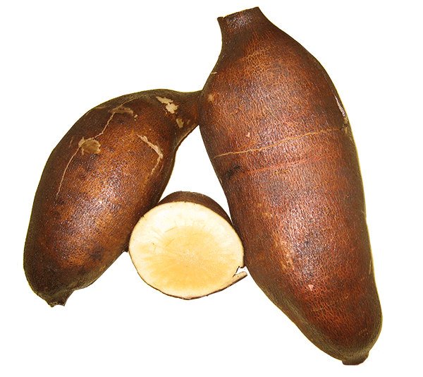 Yacon Storage Tubers By the Pound - for Eating Or Cooking - Sweet Fruit-Like Veg.-AKA Peruvian ground apple-pear strawberry jicama Bolivian sunroot llacon sweet-root