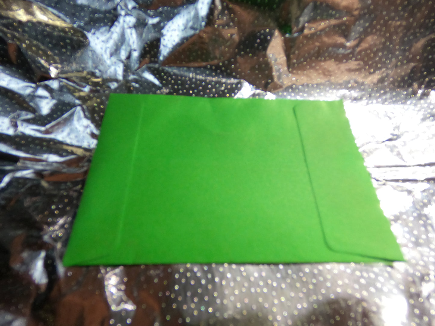 100+ Organic Skirret Seeds (Sium sisarum) – Rare Heirloom Root Vegetable – Sweet, Crunchy, Perennial – Fresh - USA Grown