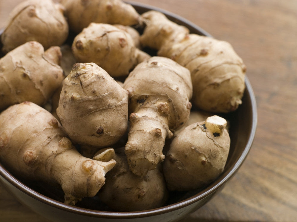 Jerusalem Artichoke EARLY Dwarf Sunray Variety - Organic Sunchoke Sunroot Individual Tubers for planting or eating