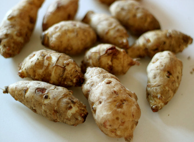 Sunchoke - Jerusalem Artichoke small SEED Tubers (Organic)