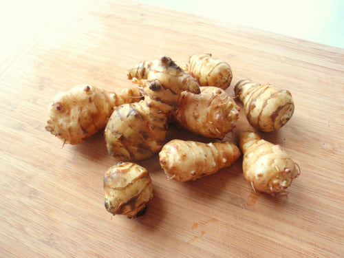 Jerusalem Artichoke - Organic Individual Tubers For Planting - AKA Sunchokes, Sunroot or Jerusalem Artichokes - Bitcoin Accepted!