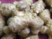 Stampede Variety Jerusalem Artichoke Tubers (Organic) - Per Tuber - Early maturing - Big Tubers - Stampede Sunchokes / Sunroot